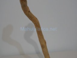 Exposición el tiempo de la Crisálida